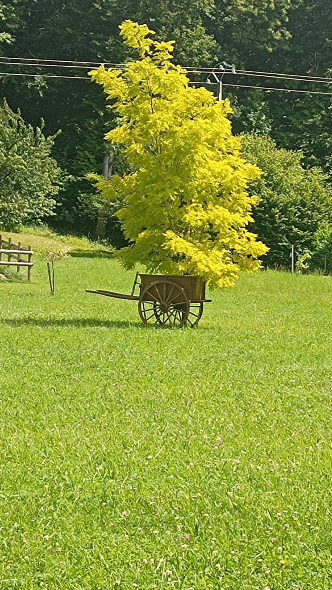 La Petite Maison Dans La Prairie Ecommoy Экстерьер фото